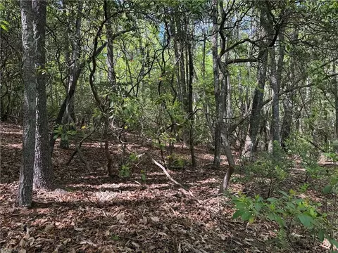 lot S 51 52a Staghorn Rd, Purlear, NC 28665 photo 12
