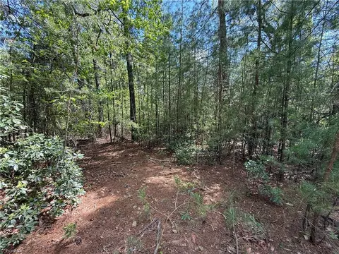 lot S 51 52a Staghorn Rd, Purlear, NC 28665 photo 9