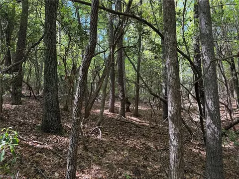 lot S 51 52a Staghorn Rd, Purlear, NC 28665 photo 13