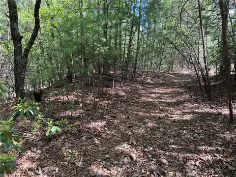 lot S 51 52a Staghorn Rd, Purlear, NC 28665 photo 19