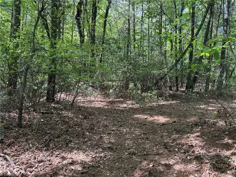 lot S 51 52a Staghorn Rd, Purlear, NC 28665 photo 17