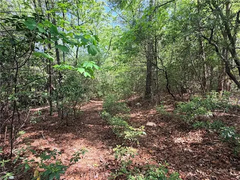 lot S 51 52a Staghorn Rd, Purlear, NC 28665 photo 11