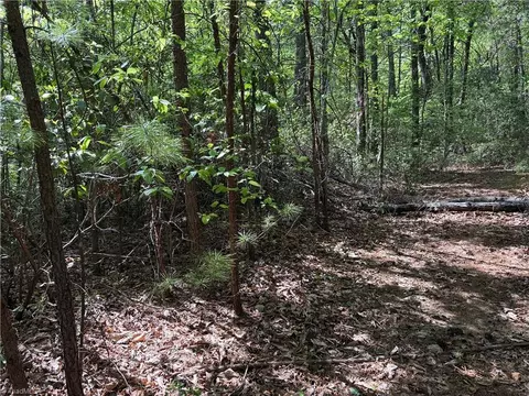 lot S 51 52a Staghorn Rd, Purlear, NC 28665 photo 18