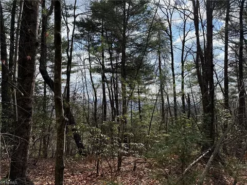 lot S 51 52a Staghorn Rd, Purlear, NC 28665