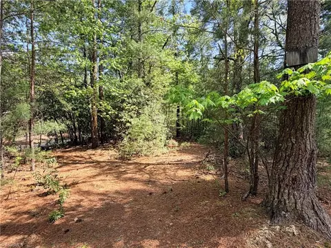 lot S 51 52a Staghorn Rd, Purlear, NC 28665 photo 4
