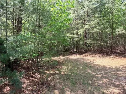 lot S 51 52a Staghorn Rd, Purlear, NC 28665 photo 21