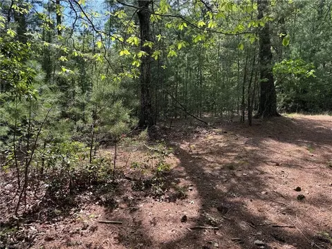 lot S 51 52a Staghorn Rd, Purlear, NC 28665 photo 5