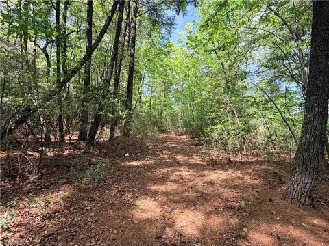 lot S 51 52a Staghorn Rd, Purlear, NC 28665 photo 10