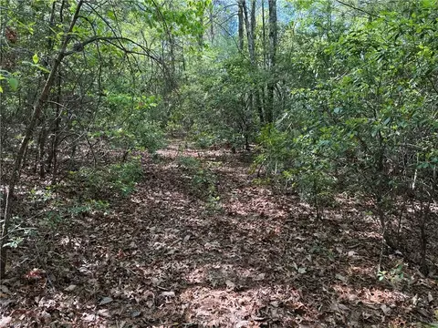 lot S 51 52a Staghorn Rd, Purlear, NC 28665 photo 14