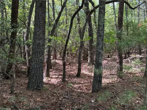 lot S 51 52a Staghorn Rd, Purlear, NC 28665 photo 15