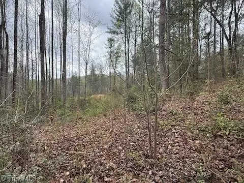 tbd Hollow Springs Cir, Boomer, NC 28606