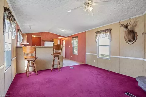 4657 Alpine Dr, Trinity, NC 27370 photo 9
