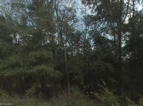 0 Royster Woods Trl, Burlington, NC 27217