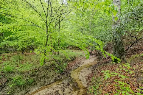 tbd Splendor Ln, Mount Airy, NC 27030