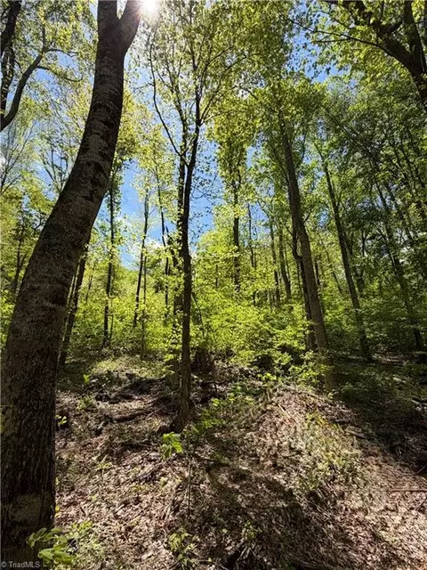 lot Apt 28 Bluff Ridge Rd, West Jefferson, NC 28694