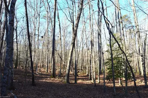 1010-1372 Hanging Rock Park Rd, Danbury, NC 27016