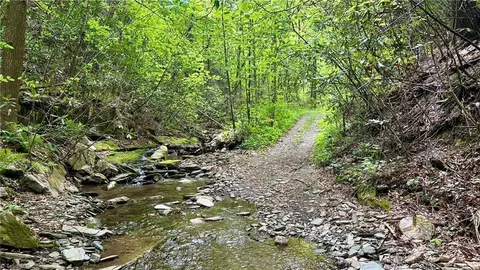000 Old Nc Highway 16 N, Millers Creek, NC 28651
