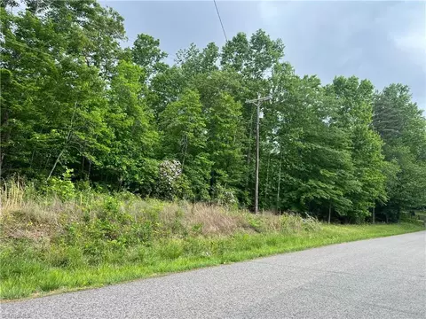 0 Gillespie St, Dobson, NC 27017
