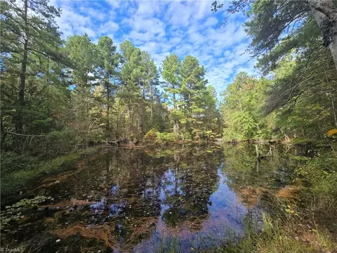 0 Bass Mountain Rd, Snow Camp, NC 27349