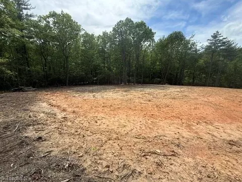 00 Chestnut Mountain Farms Pkwy, Mcgrady, NC 28649