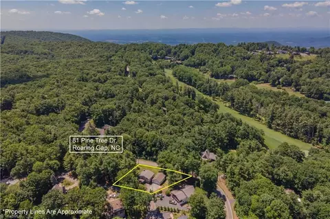 View/Area - 81 Pine Tree Dr, Roaring Gap, NC 28668 photo 6 of 7
