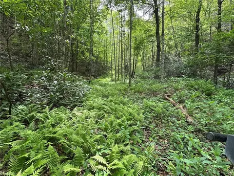 0000 Old Nc Highway 16 N, Millers Creek, NC 28651