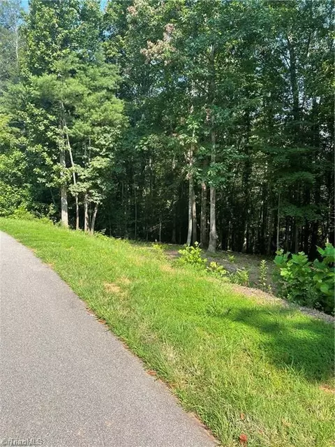 000 Burberry Ln, Purlear, NC 28665
