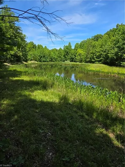 335 Healing Springs Dr, Denton, NC 27239