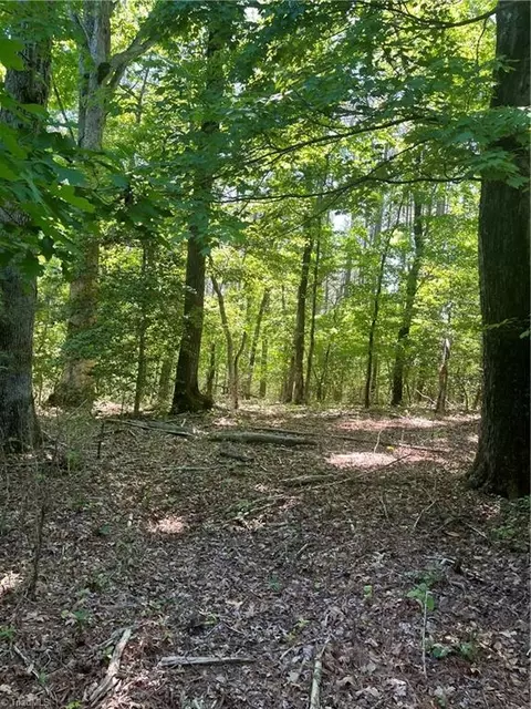 0 Palmer Rd, Westfield, NC 27053