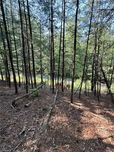 lot33 Jonathan Dr, Lowgap, NC 27024 photo 10