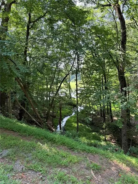 lot33 Jonathan Dr, Lowgap, NC 27024 photo 20