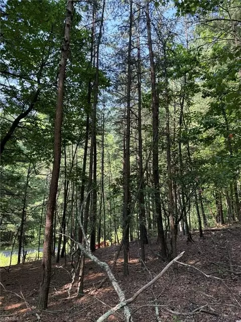 lot33 Jonathan Dr, Lowgap, NC 27024 photo 7