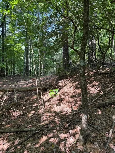 lot33 Jonathan Dr, Lowgap, NC 27024 photo 5