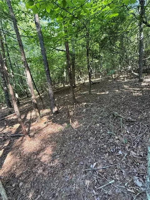lot33 Jonathan Dr, Lowgap, NC 27024 photo 11