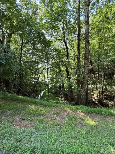 lot33 Jonathan Dr, Lowgap, NC 27024 photo 19