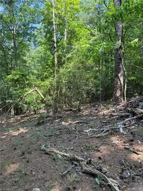lot33 Jonathan Dr, Lowgap, NC 27024 photo 6