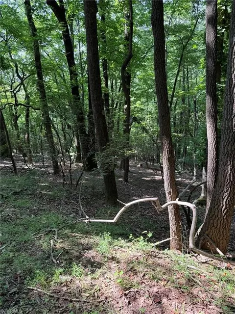 lot33 Jonathan Dr, Lowgap, NC 27024 photo 14