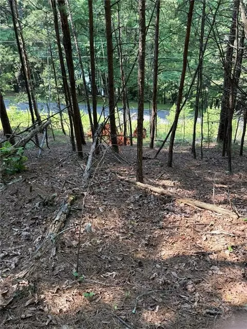 lot33 Jonathan Dr, Lowgap, NC 27024 photo 8