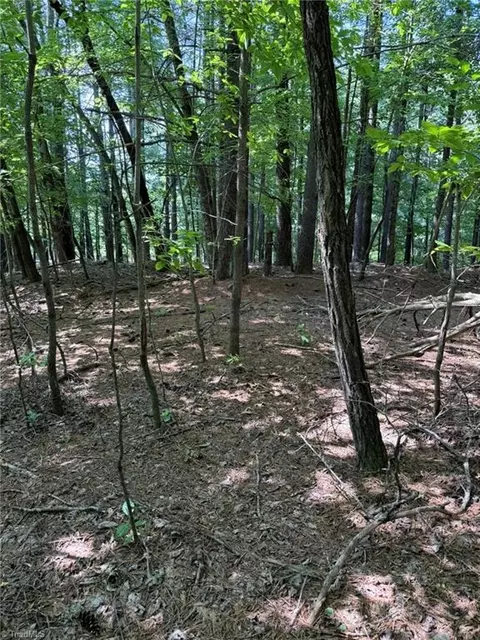 lot33 Jonathan Dr, Lowgap, NC 27024 photo 4