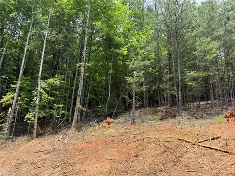 lot33 Jonathan Dr, Lowgap, NC 27024 photo 26