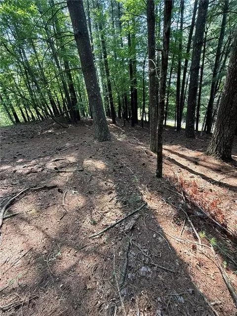 lot33 Jonathan Dr, Lowgap, NC 27024 photo 12