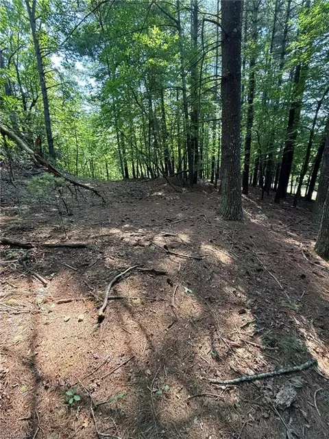 lot33 Jonathan Dr, Lowgap, NC 27024 photo 13