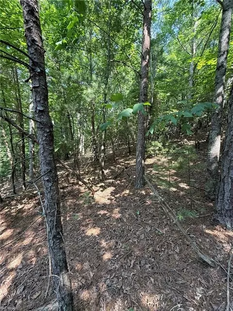 lot33 Jonathan Dr, Lowgap, NC 27024 photo 9