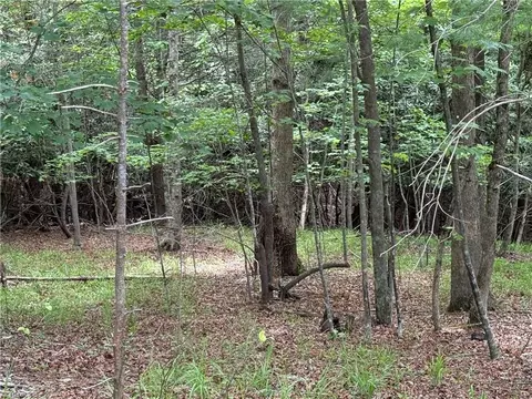0 Old Lowgap Rd, Lowgap, NC 27024 photo 3