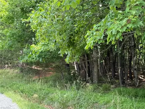 0 Old Lowgap Rd, Lowgap, NC 27024 photo 10