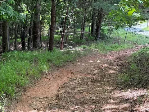 0 Old Lowgap Rd, Lowgap, NC 27024 photo 4
