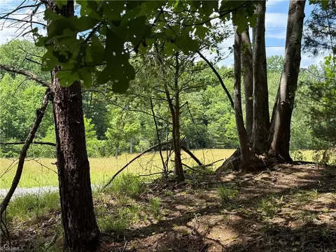 0 Old Lowgap Rd, Lowgap, NC 27024 photo 9