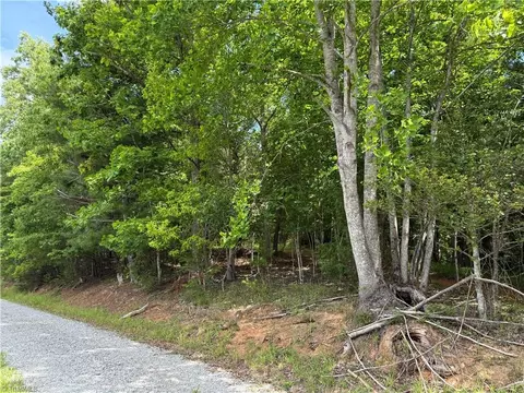 0 Old Lowgap Rd, Lowgap, NC 27024 photo 8