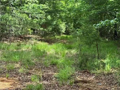 0 Old Lowgap Rd, Lowgap, NC 27024 photo 5
