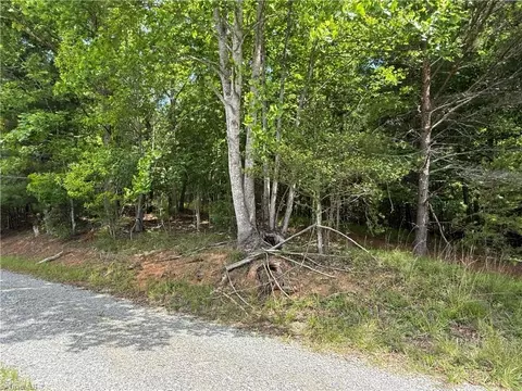 0 Old Lowgap Rd, Lowgap, NC 27024 photo 7